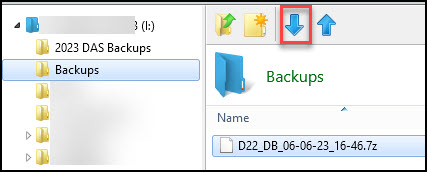 Image showing the download icon on the Rightworks file manager.