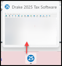 Preview window