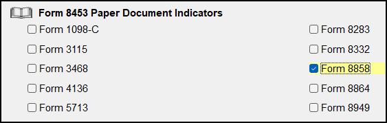 Image of "Form 8858" selected on screen EF.