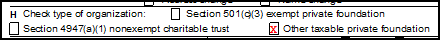 Image of "Other taxable private foundation" check box on Form 990-PF