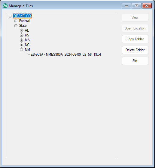 Manage e-Files window