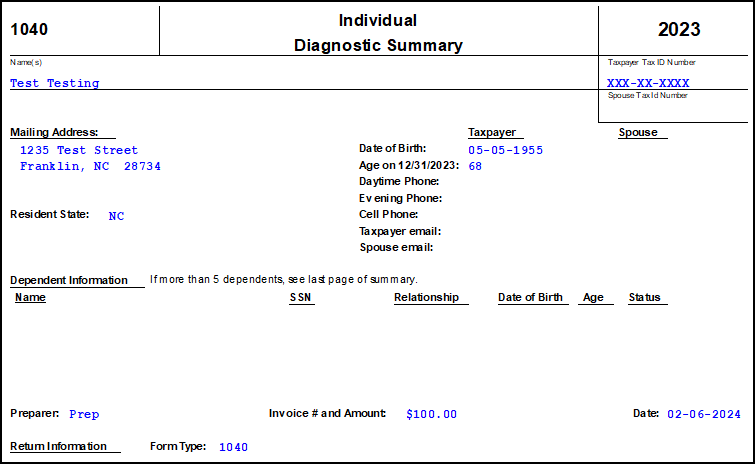Image of the 1040 Diagnostic Summary in View/Print mode Image of the 1040 Diagnostic Summary in View/Print mode